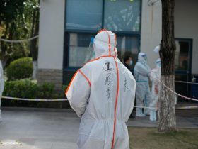 Why Bed Bug Control Is Becoming More Common in Singapore