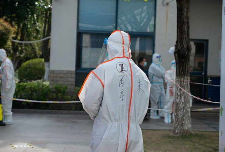 Why Bed Bug Control Is Becoming More Common in Singapore