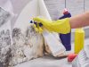 How a Mould Removal Professional Saves Your Property Value