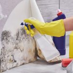 How a Mould Removal Professional Saves Your Property Value