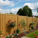 The Boundary Detail Homeowners Only Notice After Spending More Time Outside