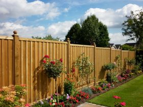 The Boundary Detail Homeowners Only Notice After Spending More Time Outside
