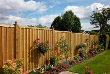 The Boundary Detail Homeowners Only Notice After Spending More Time Outside