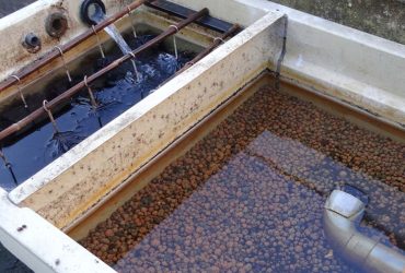 A Complete Guide to Koi Pond Filtration