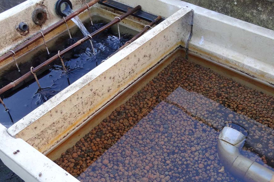 A Complete Guide to Koi Pond Filtration