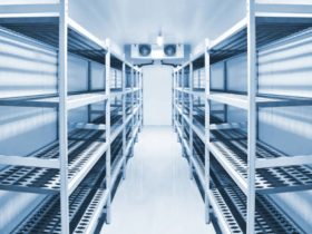 China Turnkey Construction Services for Modern Fruits and Vegetables Cold Storage