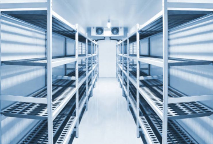 China Turnkey Construction Services for Modern Fruits and Vegetables Cold Storage