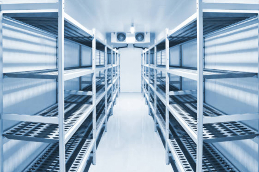 China Turnkey Construction Services for Modern Fruits and Vegetables Cold Storage