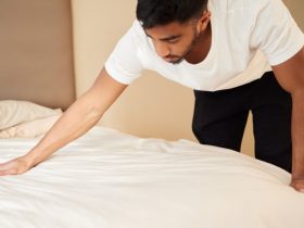 How Travellers Can Avoid Bringing Bed Bugs Home